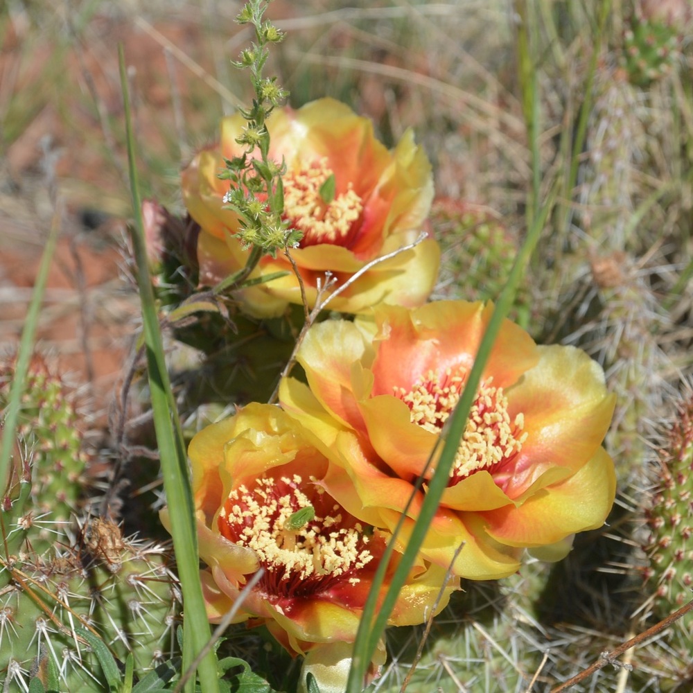 Thank you for your business!!